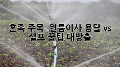혼족 주목! 📦 원룸이사, 용달 vs 셀프? 꿀팁 대방출!